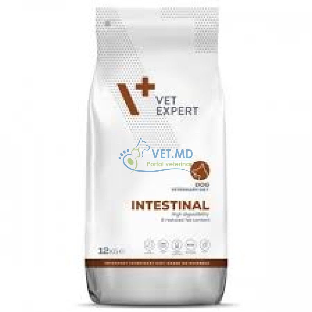 4T VETERINARY DIET INTESTINAL DOG Hrana completa si echilibrata - NTESTINAL DOG